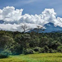 Arusha National Park - Arusha