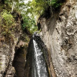 Arusha National Park - Arusha