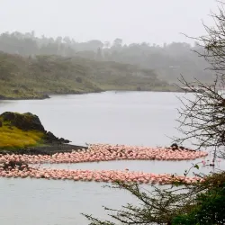 Arusha National Park - Arusha