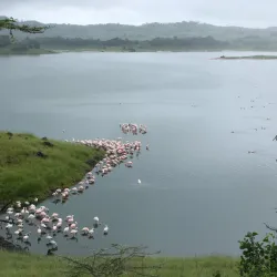 Arusha National Park - Arusha