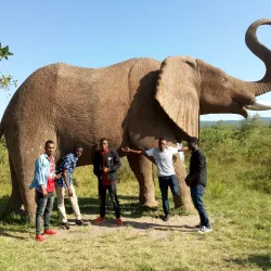 Arusha National Park - Arusha