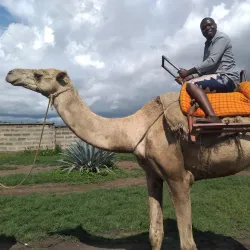 Meserani Snake Park and Maasai Village - Arusha