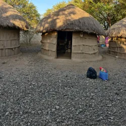 Meserani Snake Park and Maasai Village - Arusha