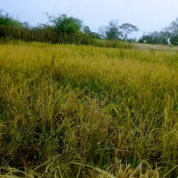 Babati Cultural Heritage Site - Babati-Manyara