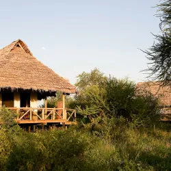 Burunge Wildlife Management Area - Babati-Manyara