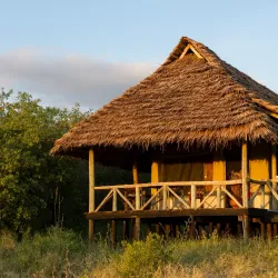 Burunge Wildlife Management Area - Babati-Manyara
