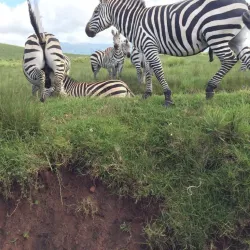 Kiteto Hills - Babati-Manyara