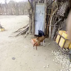 Kiteto Hills - Babati-Manyara