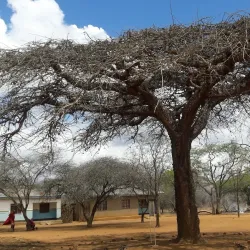 Kiteto Hills - Babati-Manyara