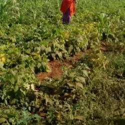 Kiteto Hills - Babati-Manyara