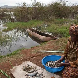 Lake Babati - Babati-Manyara