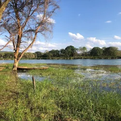 Lake Babati - Babati-Manyara