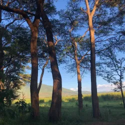 Lake Babati - Babati-Manyara