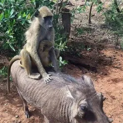 Mto wa Mbu Village - Babati-Manyara
