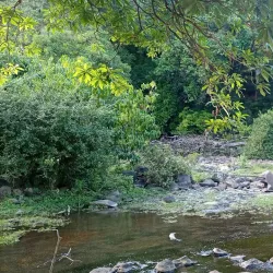 Mto wa Mbu Village - Babati-Manyara