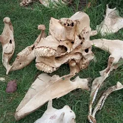 Mto wa Mbu Village - Babati-Manyara