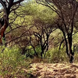 Mto wa Mbu Village - Babati-Manyara