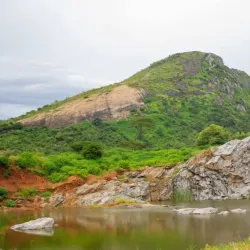 Bunda Wildlife Management Area - Bunda