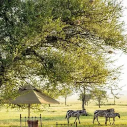 Grumeti River - Bunda