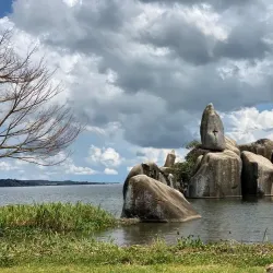 Lake Victoria Shoreline - Bunda