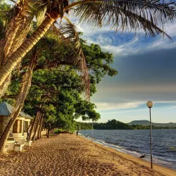 Lake Victoria Shoreline - Bunda