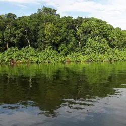 Rubondo Island National Park - Bunda