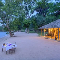 Rubondo Island National Park - Bunda