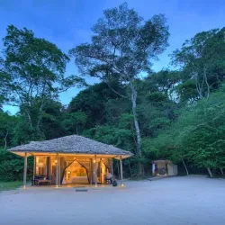 Rubondo Island National Park - Bunda