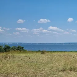 Rubondo Island National Park - Bunda