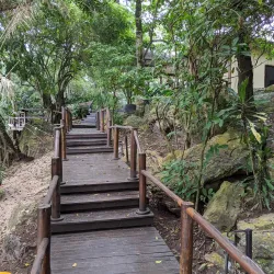 Rubondo Island National Park - Bunda