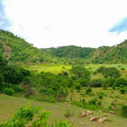 Sekenke Ruins - Bunda