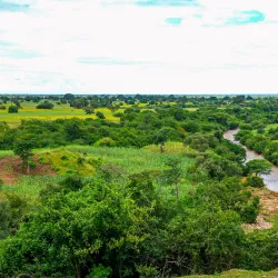 Sekenke Ruins - Bunda