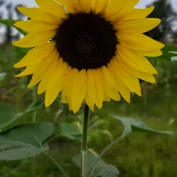 Sekenke Ruins - Bunda