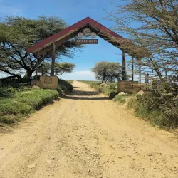 Serengeti National Park - Bunda