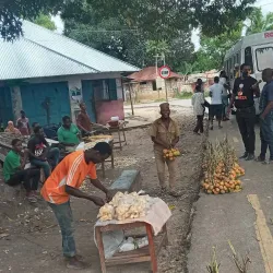 Chake Chake Fort - Chake Chake