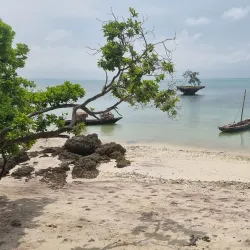 Misali Island Marine Park - Chake Chake