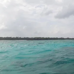 Misali Island Marine Park - Chake Chake