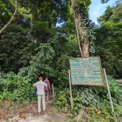 Ngezi Forest Reserve - Chake Chake