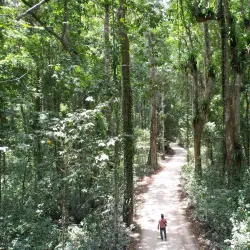 Ngezi Forest Reserve - Chake Chake