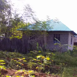 Ngezi Forest Reserve - Chake Chake