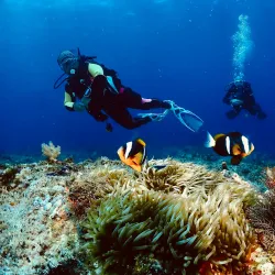 Pemba Diving Sites - Chake Chake