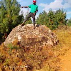 Pemba Museum - Chake Chake