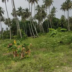 Pemba Museum - Chake Chake