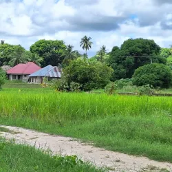 Pemba Museum - Chake Chake