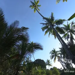 Pemba Spice Farms - Chake Chake