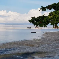 Wesha Beach - Chake Chake