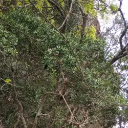 Kondoa Rock Art Site - Dodoma