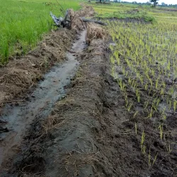Ifakara Market - Ifakara