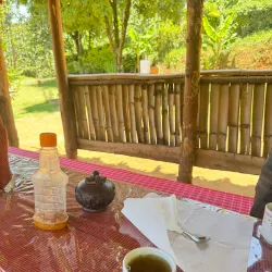 Local Coffee Plantations - Ifakara