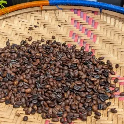 Local Coffee Plantations - Ifakara